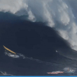 파도 서핑 대형 대박 파도타기 거대한 바다 