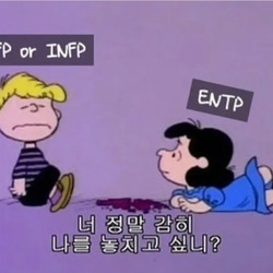ENFP INFP ENTP MBTI 성격 유형 취향 mbti짤 mbti짤방 mbti타입