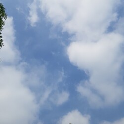 하늘 배경 배사 자연 파랑 구름