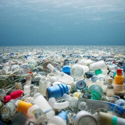 쓰레기 플라스틱 바다 폐기물 쓰레기섬