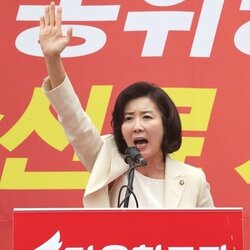 나경원 자유한국당 정치짤 나경원짤 선거