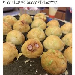 타코야끼요 제가요 비밀을 알게된 타코야끼 문어 놀람